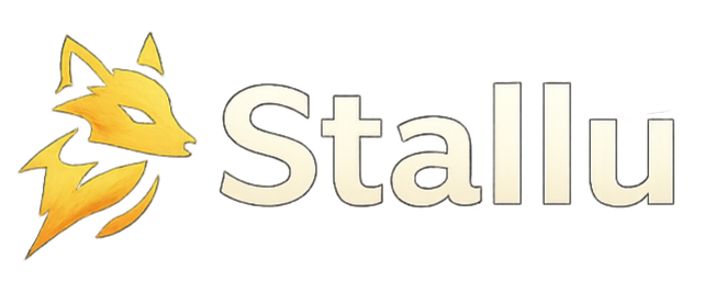 Stallu – Création Site Internet Artisan Pau | Dès 590€